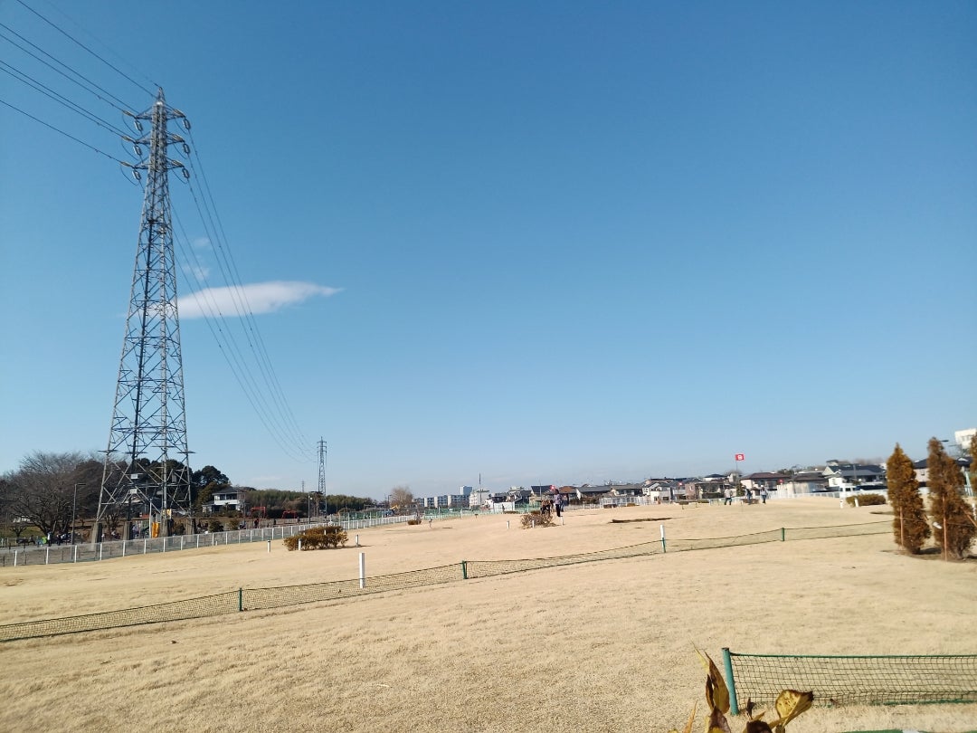 上尾市でパークゴルフ