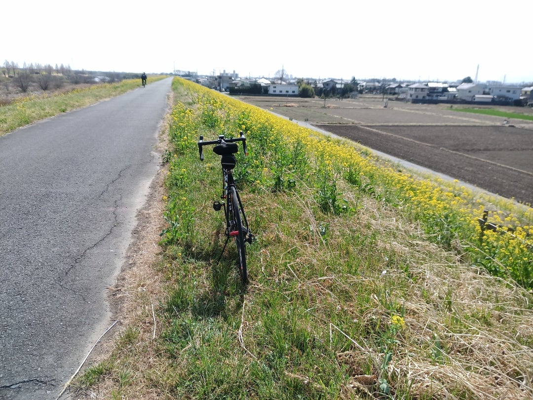 ひさびさの入サイ、荒サイ