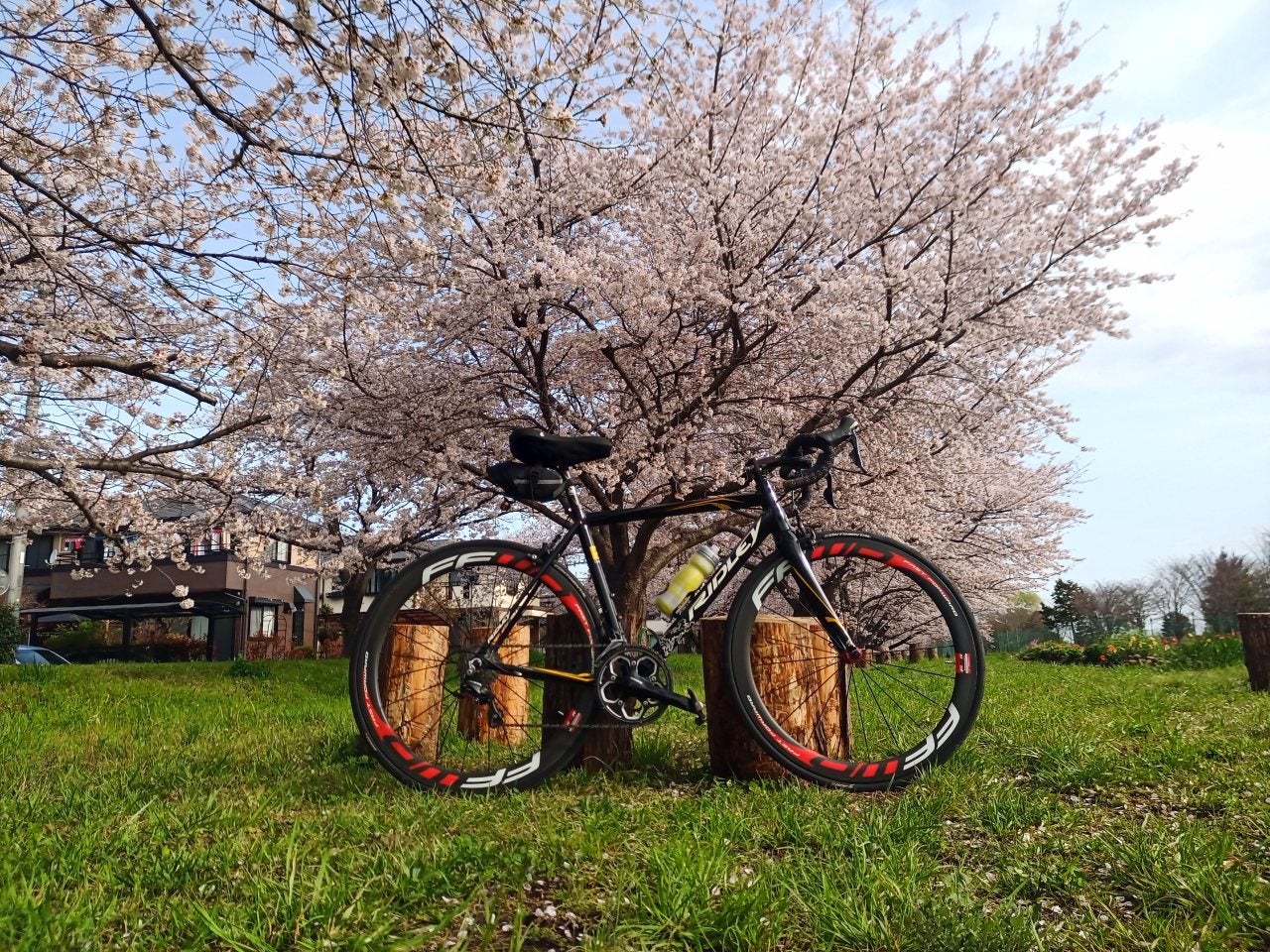 さくらららライド・最初で最後の