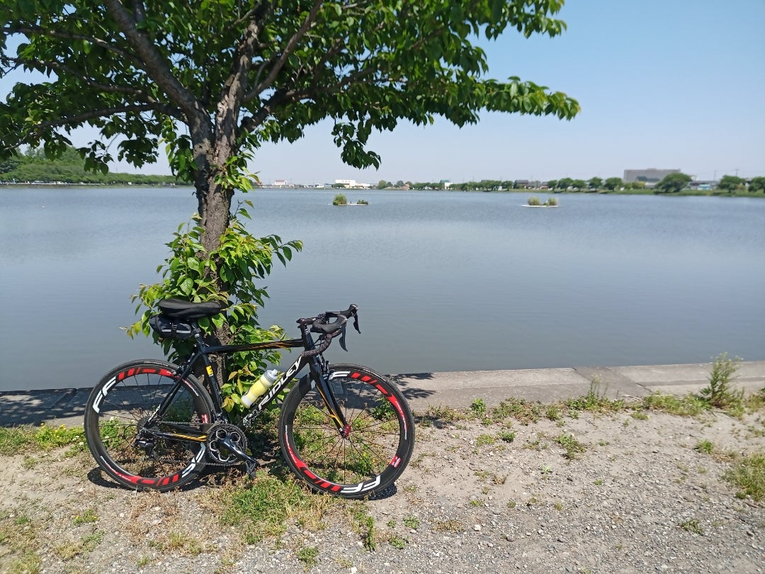帰宅サイクリング　狭山-川越-伊佐沼-ふじみ野
