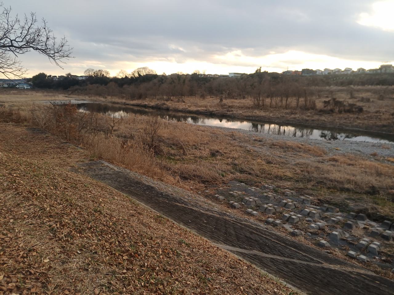 セカンドバイク？を完全に治せ