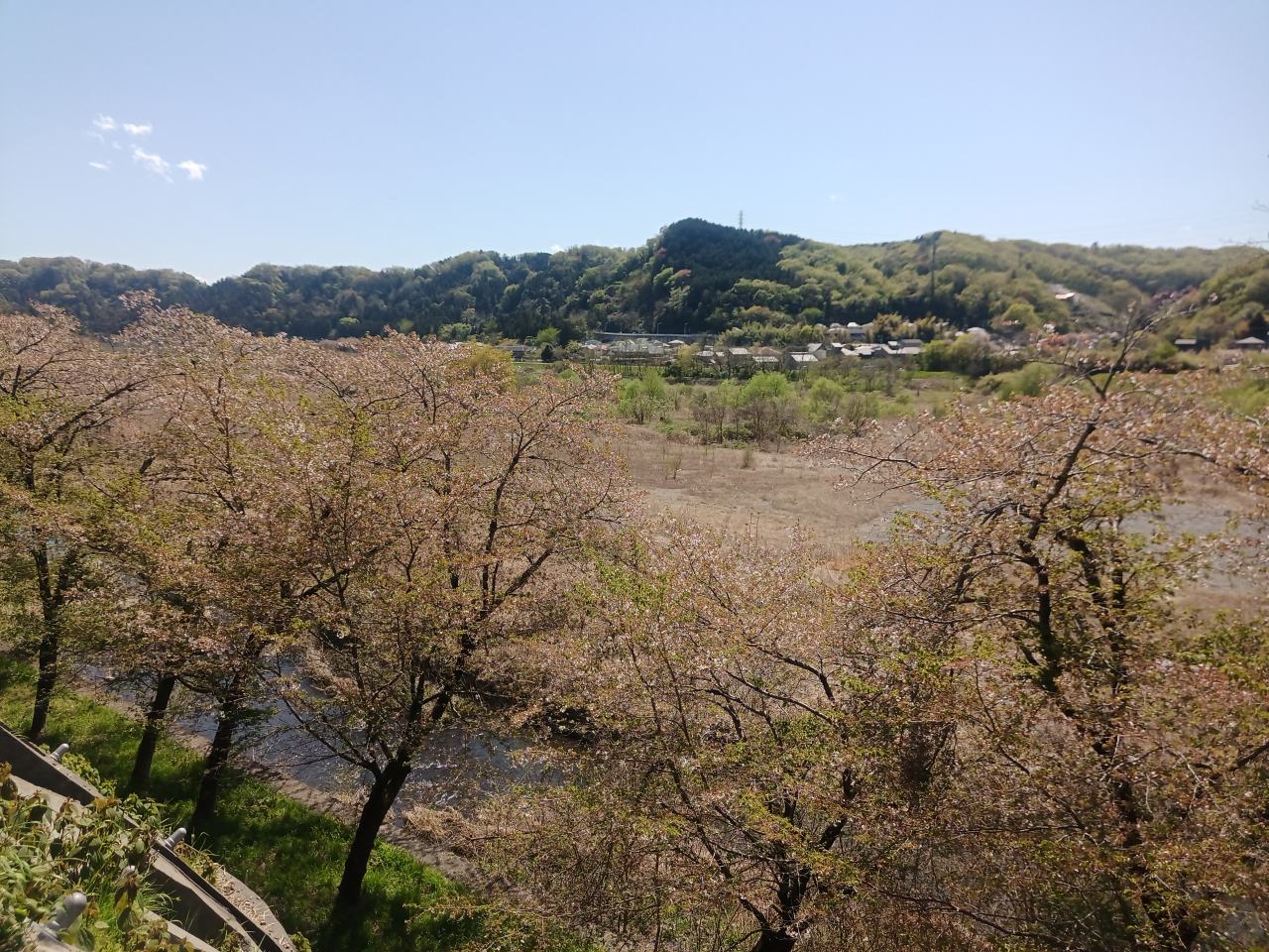 定期健康診断だから体重を落とすんだよ！なにがなんでも落とすんだよ！屁理屈はいいからとにかく体..