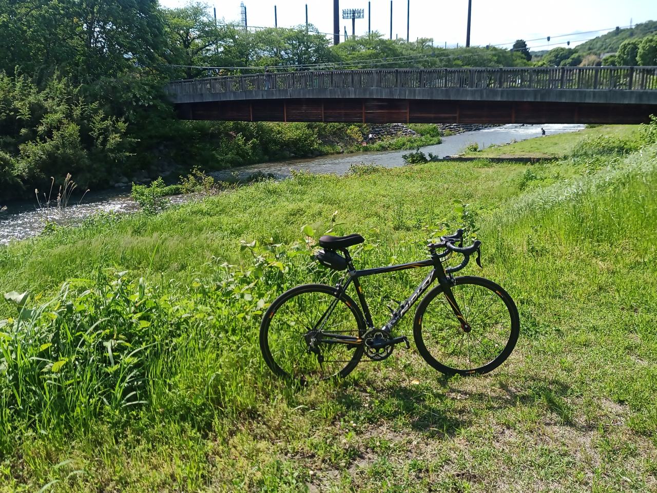 12kmポタとほろほろ大根
