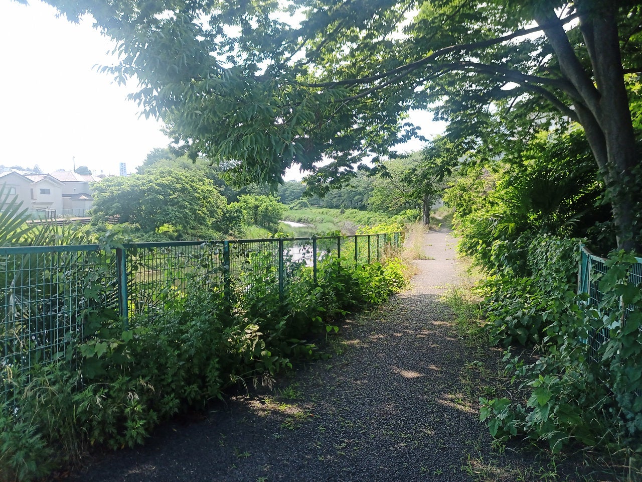 酷暑のなか、走る、走る、走れ、